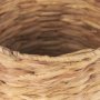 70546 - Tamuz (Set of 2) Grass Baskets