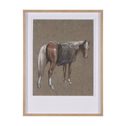 15149 - Palomino Blanket by Mercana Studio a Hand Embellished Textured Framed Art Print