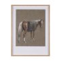 15149 - Palomino Blanket by Mercana Studio a Hand Embellished Textured Framed Art Print