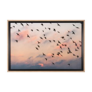Evening Flight by Mercana Studio a Hand Embellished Textured Framed Photo Art Print Matted under Gla