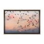 15157 - Evening Flight by Mercana Studio a Hand Embellished Textured Framed Photo Art Print Matted under Gla