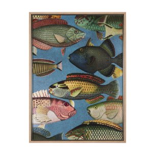 Vadum Piscis by Mercana Studio a Hand Embelished Textured Framed Art Print