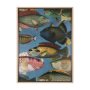15158 - Vadum Piscis by Mercana Studio a Hand Embelished Textured Framed Art Print
