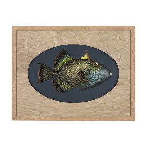 Pseudobalistes Fuscus by Mercana Studio Hand Embellished Textured Framed Art Print Matted under Glas