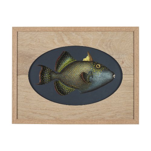 15159 - Pseudobalistes Fuscus by Mercana Studio Hand Embellished Textured Framed Art Print Matted under Glas