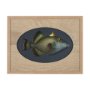 15159 - Pseudobalistes Fuscus by Mercana Studio Hand Embellished Textured Framed Art Print Matted under Glas