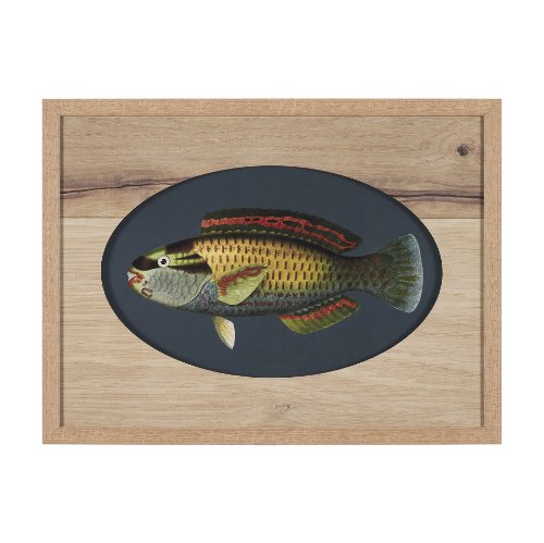 15160 - Scarus Ghobban by Mercana Studio a Hand Embellished Textured Framed Art Print Matted under Glass