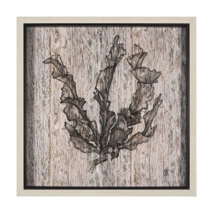 Wood Grain Sea Plant I by Mercana Studio a Hand Embellished Textured Framed Art Print