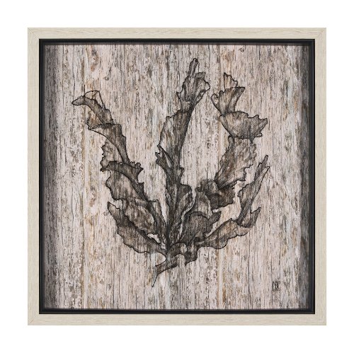 15205 - Wood Grain Sea Plant I by Mercana Studio a Hand Embellished Textured Framed Art Print