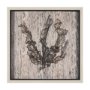 15205 - Wood Grain Sea Plant I by Mercana Studio a Hand Embellished Textured Framed Art Print