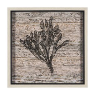 Wood Grain Sea Plant II by Mercana Studio a Hand Embellished Textured Framed Art Print