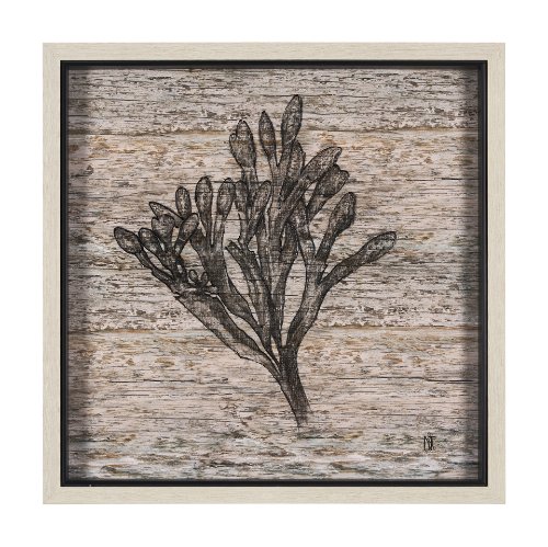 15206 - Wood Grain Sea Plant II by Mercana Studio a Hand Embellished Textured Framed Art Print
