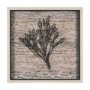 15206 - Wood Grain Sea Plant II by Mercana Studio a Hand Embellished Textured Framed Art Print