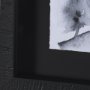15144 - Ink Drawing I by Mercana Studio a Framed Art Print Matted under Glass