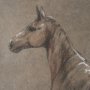15150 - Buckskin Blanket by Mercana Studio a Hand Embellished Textured Framed Art Print