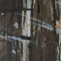 15151 - Forest View V by Mercana Studio a Hand Embellished Textured Framed Art Print