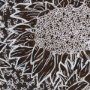 15154 - Sunflower Fest II by Mercana Studio a Hand Embellished Textured Framed Art Print Matted under Glass