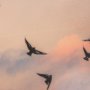 15157 - Evening Flight by Mercana Studio a Hand Embellished Textured Framed Photo Art Print Matted under Gla