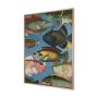 15158 - Vadum Piscis by Mercana Studio a Hand Embelished Textured Framed Art Print