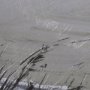 15190 - Winter Day V by Mercana Studio a Hand Embellished Textured Framed Art Print Matted under Glass