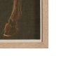 15195 - Horse III Olive by Mercana Studio a Hand Embellished Textured Framed Art Print