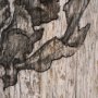 15206 - Wood Grain Sea Plant II by Mercana Studio a Hand Embellished Textured Framed Art Print