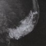 11622 - Custom Black Glimpse I by Mercana Studio Hand Embellished Framed Photo Art Print Matted under Glass