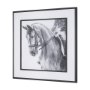 15138 - Poised by Mercana Studio a Hand Embellished Textured Framed Art Print Matted under Glass
