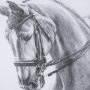 15138 - Poised by Mercana Studio a Hand Embellished Textured Framed Art Print Matted under Glass