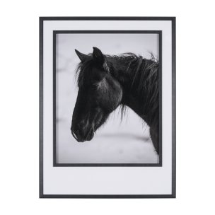 Wander by Chad Mackay a Hand Embellished Textured Framed Photo Art Print Matted under Glass