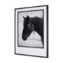 15213 - Wander by Chad Mackay a Hand Embellished Textured Framed Photo Art Print Matted under Glass
