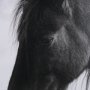 15213 - Wander by Chad Mackay a Hand Embellished Textured Framed Photo Art Print Matted under Glass