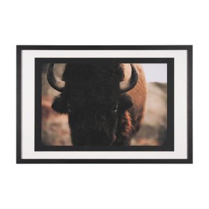 Stare Down by Chad Mackay a Hand Embelished Textured Framed Photo Art Print Matted under Glass