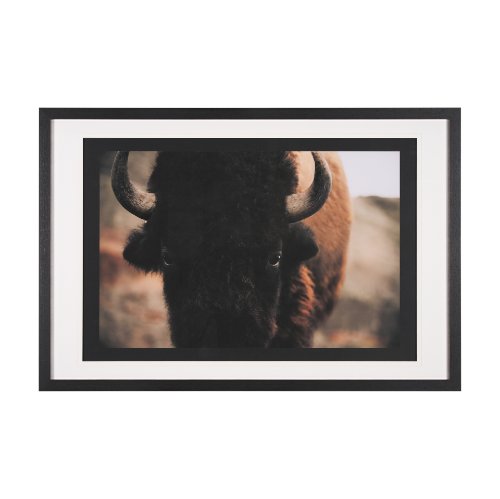 15215 - Stare Down by Chad Mackay a Hand Embelished Textured Framed Photo Art Print Matted under Glass