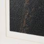 12520 - Triplets by Xavier Ortega a Framed Photo Art Print Matted under Glass