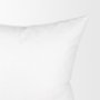 67161 - 20 x 20 Down pillow insert