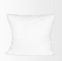 67165 - 22 x 22 Non-Allergen Pillow insert