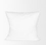 67166 - 20 x 20 Non-Allergen Pillow insert