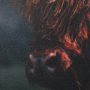 15216 - Fozzie by Chad Mackay a Hand Embellished Textured Framed Photo Art Print