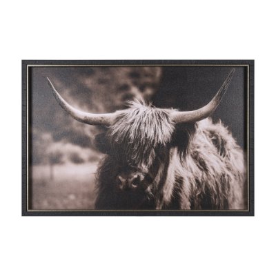 15217 - Highland Stare by Chad Mackay a Hand Embellished Textured Framed Photo Art Print