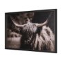 15217 - Highland Stare by Chad Mackay a Hand Embellished Textured Framed Photo Art Print