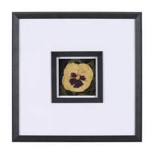Flower Portrait I  by Mercana Studio a Hand Embellished Textured Framed Art Print Matted under Glass