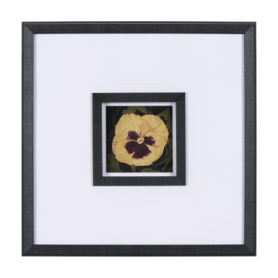 15224 - Flower Portrait I  by Mercana Studio a Hand Embellished Textured Framed Art Print Matted under Glass