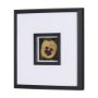 15224 - Flower Portrait I  by Mercana Studio a Hand Embellished Textured Framed Art Print Matted under Glass