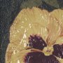 15224 - Flower Portrait I  by Mercana Studio a Hand Embellished Textured Framed Art Print Matted under Glass