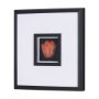 15225 - Flower Portrait II by Mercana Studio a Hand Embellished Textured Framed Art Print Matted under Glass