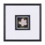 15226 - Flower Portrait III by Mercana Studio Hand Embellished Textured Framed Art Print Matted under Glass