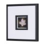 15226 - Flower Portrait III by Mercana Studio Hand Embellished Textured Framed Art Print Matted under Glass
