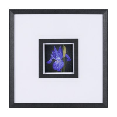15227 - Flower Portrait IV by Mercana Studio a Hand Embellished Textured Framed Art Print Matted under Glass