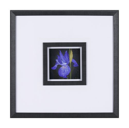 15227 - Flower Portrait IV by Mercana Studio a Hand Embellished Textured Framed Art Print Matted under Glass